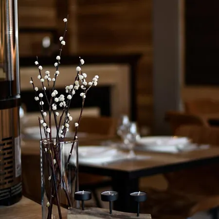 River Hotel Stari Banovci